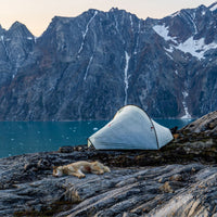 0.51 oz Dyneema® Composite Fabric CT1E.08 - Full Rolls