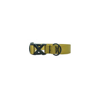 Dog Accessory Bundle