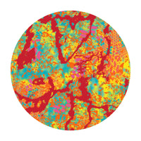 Kryptek® Camo - Print On-Demand Fabric