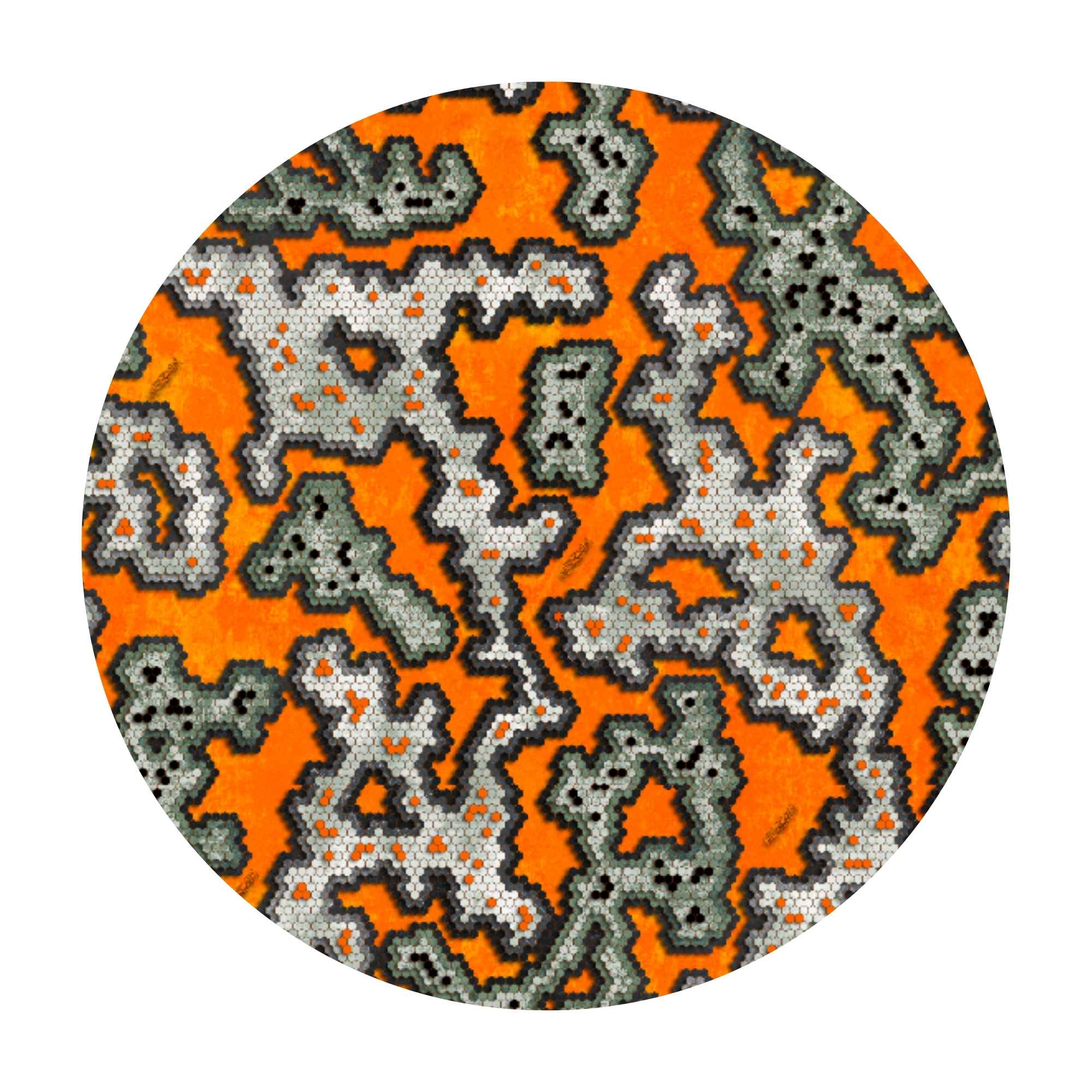 X-Pac® VX07 - HexCam®