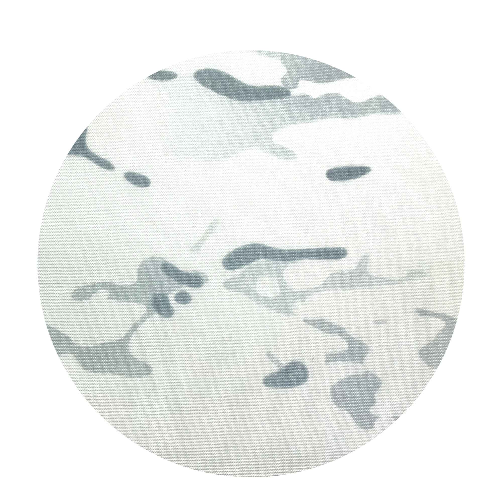 500D Cordura® - MultiCam® - Full Roll