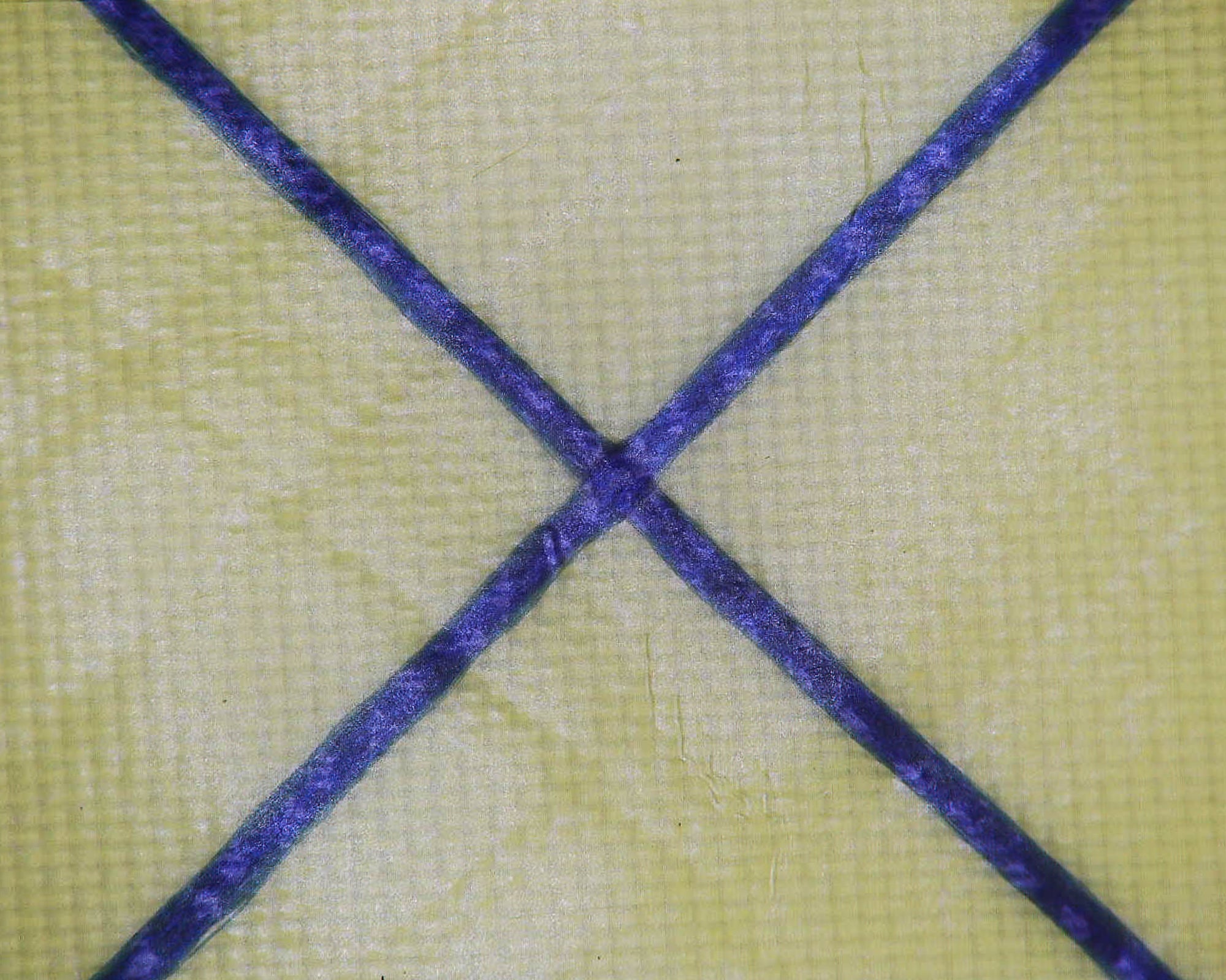 Challenge ECOPAK™ EPLX200