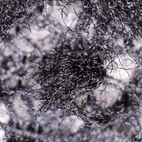 Polartec® Alpha® Direct 4004 - Full Roll