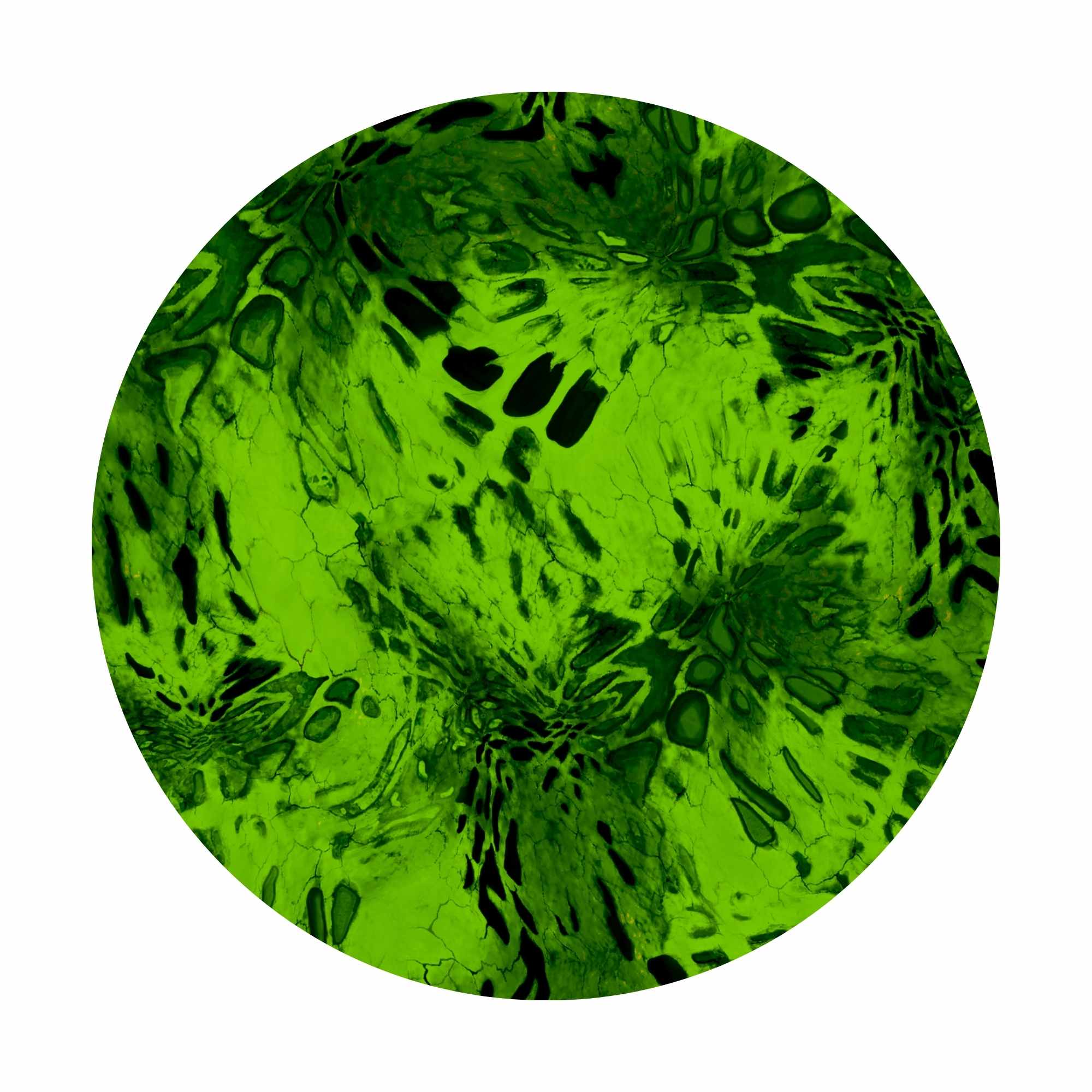Prym1 Camo - Print On-Demand Fabric