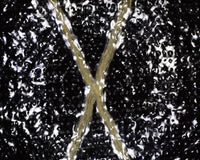 X-Pac® X50 Tactical