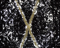 X-Pac® X50 Tactical - Full Roll