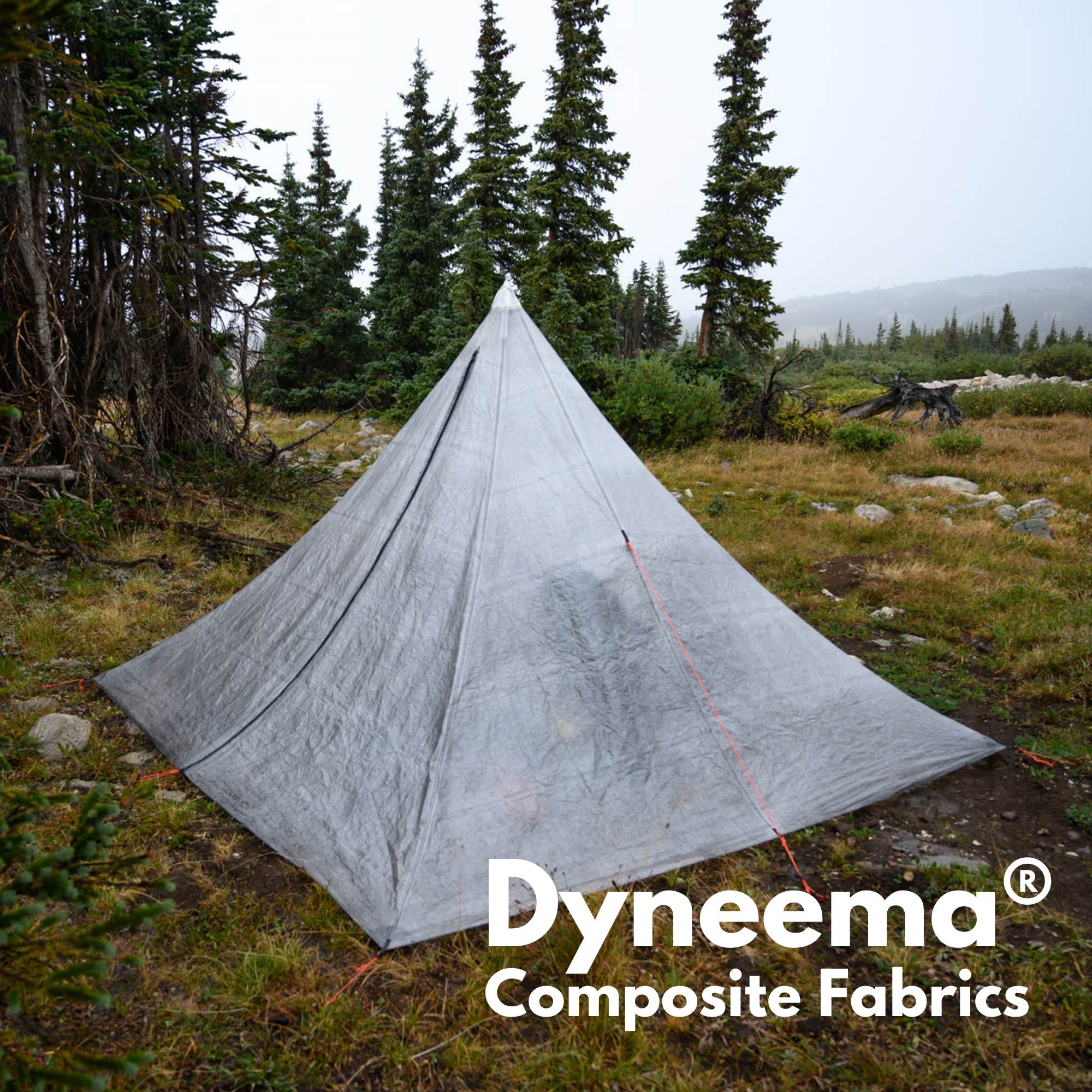 Dyneema&reg; Composite Fabric