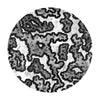 1.1 oz Silpoly - HexCam®